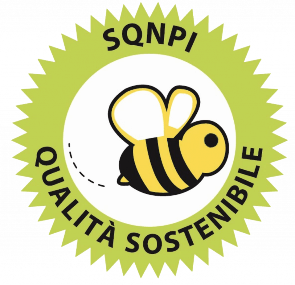 Sqnpi logo